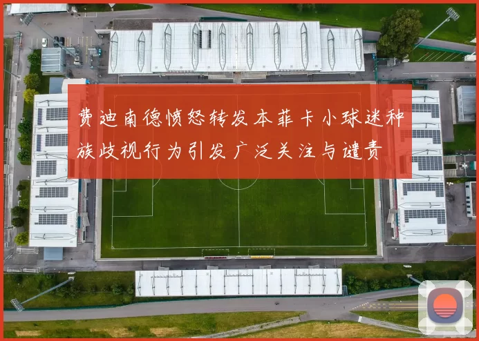 费迪南德愤怒转发本菲卡小球迷种族歧视行为引发广泛关注与谴责